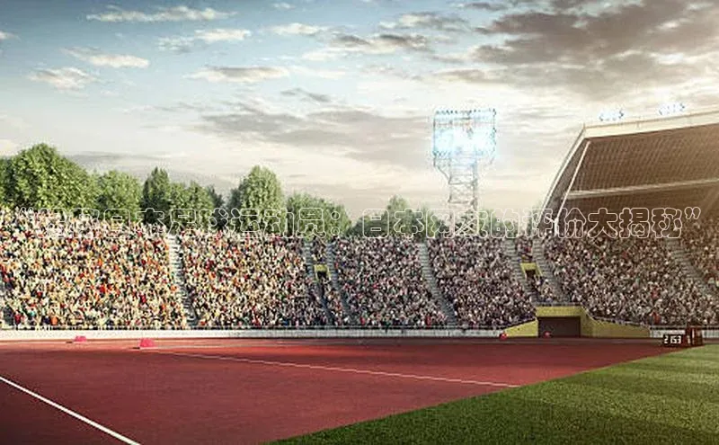 j9九游真人游戏第一平台赛富乐斯“揭秘日本足球运动员：日本网友的评价大揭秘”