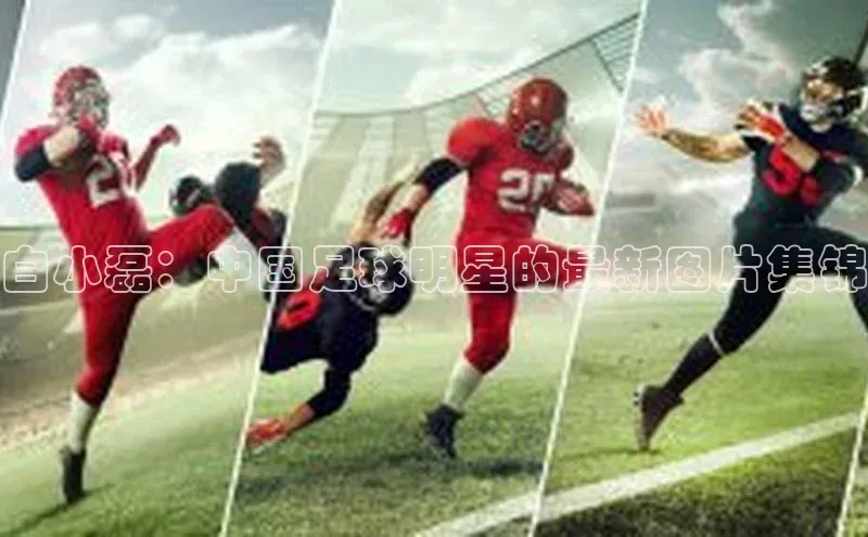 j9九游会-真人游戏第一品牌百度Apollo白小磊：中国足球明星的最新图片集锦