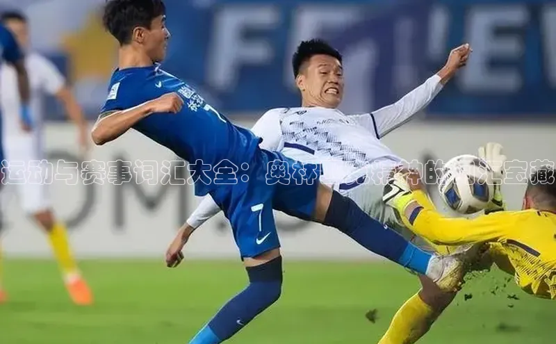 运动与赛事词汇大全：奥林匹克精神的词汇宝藏