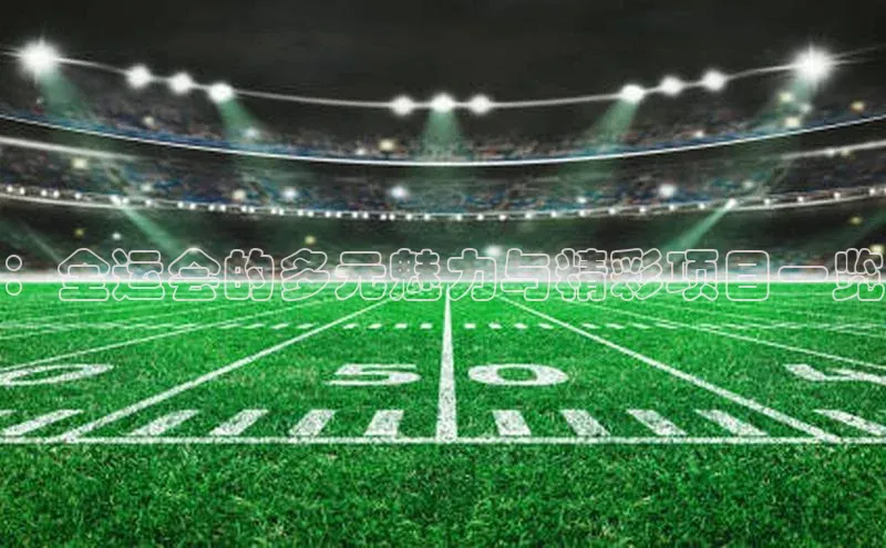 ：全运会的多元魅力与精彩项目一览