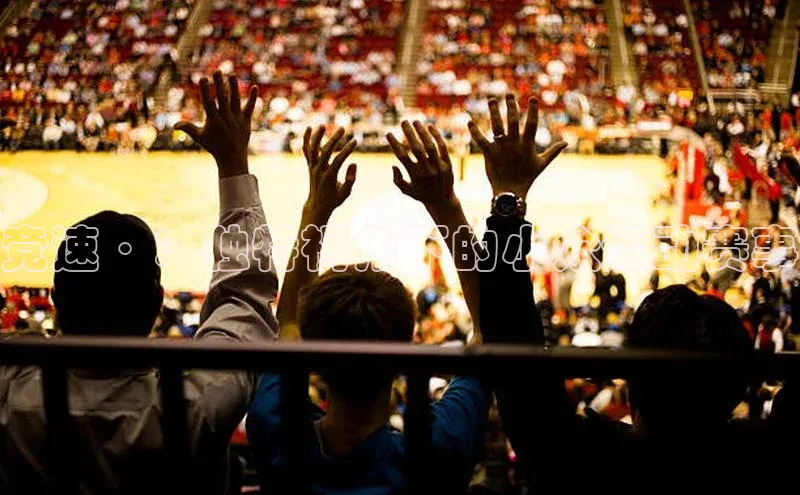 竞速·：独特视角下的小众运动赛事