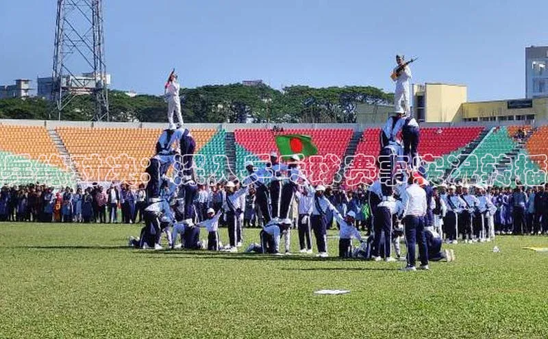 乒缘对决：深入乒乓球赛事实况转播