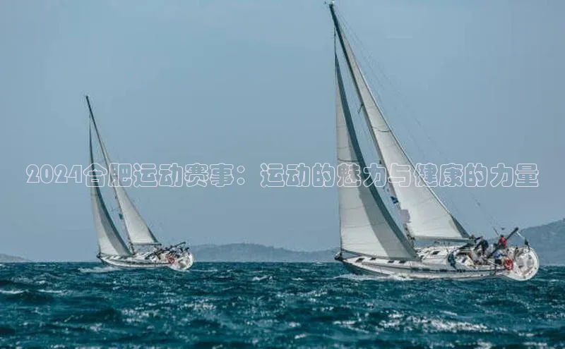 2024合肥运动赛事：运动的魅力与健康的力量