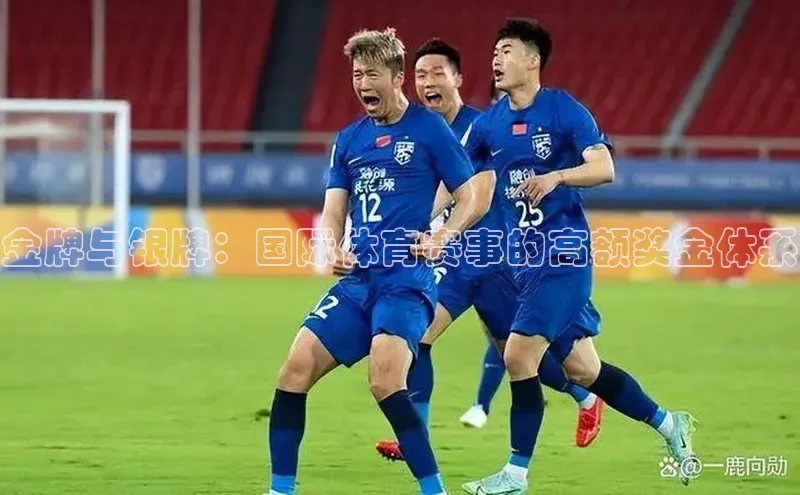 金牌与银牌：国际体育赛事的高额奖金体系