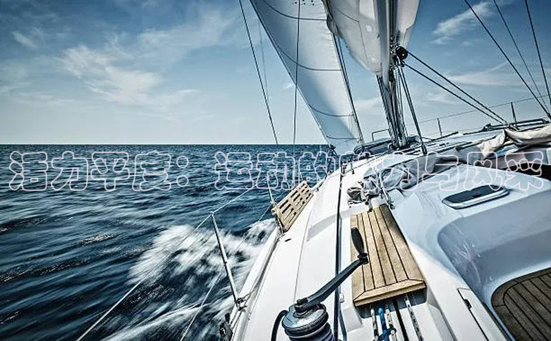 活力平度：运动的魅力与风采