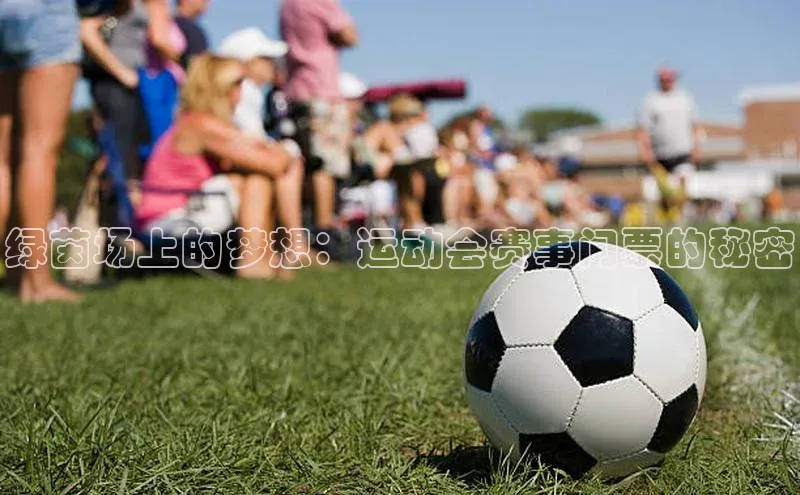 绿茵场上的梦想：运动会赛事门票的秘密